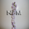 stock flowers double lavender